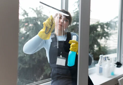 Nettoyage de vitres intérieures et extérieures à Monthieux